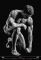 Kalend�� Men