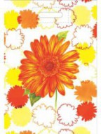 Taka PE s prhmatem Gerbera
