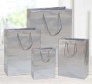 Paprov taka Color velk stbrn - zvtit obrzek