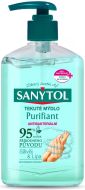 Tekut� m�dlo Sanytol 250ml Antibakteri�ln� Purifiant pumpa