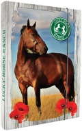 koln box na seity A4 Lucky Horse - zvtit obrzek