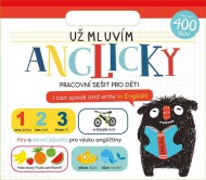 Pracovn seit/U mluvm anglicky - zvtit obrzek