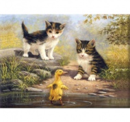 Malovn podle sel 30x40 cm- Ptel u vody - zvtit obrzek