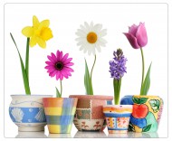 Podloka pod my Kvtiny (230x190 mm) - zvtit obrzek