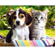 Diamantov obrzek 15 x 20 cm - Pejsek a koika - zvtit obrzek