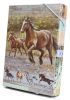 Box na se�ity A4 Wild Horses