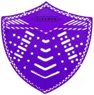 Pisorov stko voav fialov - zvtit obrzek