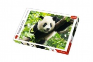 Puzzle Panda 500 dlk  - zvtit obrzek