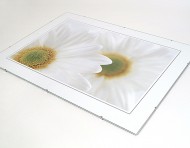 Foto clip 20x30 cm