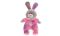  Baby Happiness zv���tko ply�ov� 26 cm se zvukem n