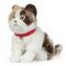  Ko�ka skotsk� klapouch� sed�c�, ply� 40cm 