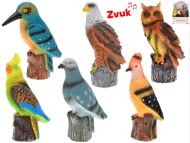 Pt�k 17-20cm na baterie se zvukem, 6 druh�