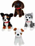 Pes plyov - zvtit obrzek