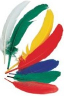 Indinsk brka stedn 15-22 cm, barevn mix
