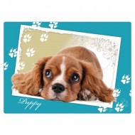 Podloka na skldn slov Puppy  - zvtit obrzek