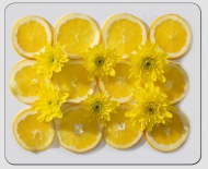 Podloka pod my Lemon  - zvtit obrzek