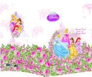 Disney Princezny - obal A4, mix motiv - zvtit obrzek