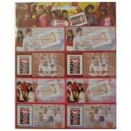 Samolepc jmenovky - DISNEY HIGH SCHOOL MUSICAL    - zvtit obrzek