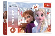 Puzzle Ledov krlovstv II/Frozen II 60 dlk  - zvtit obrzek