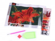 Diamantov malovn 20x30 cm 2 viz foto Lilie, 1 sada - zvtit obrzek
