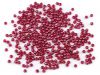 08 vnov fuchsie, 10 g