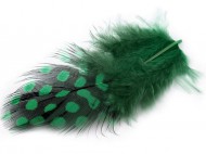 Slepi pe dlka 5-13 cm