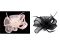 Fascintor / bro kvt s pem