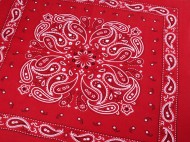 Bavlnn tek paisley 55x55 cm - zvtit obrzek