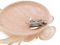 Fascintor / klobouek kvt s pem