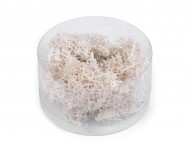 Stabilizovan / preparovan mech 20 g v krabice 1 bl prodn, 1 ks - zvtit obrzek