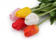 Uml tulipn - zvtit obrzek