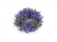Uml vnec buxus fialov 16 cm - zvtit obrzek