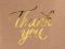 Drkov paprov taka Thank you 16x22 cm