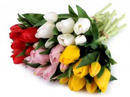 Uml kytice tulipn - zvtit obrzek