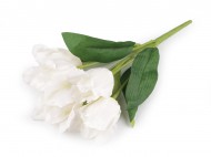 Uml kytice tulipn 1 bl, 1 ks - zvtit obrzek