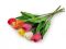 Uml tulipn dlouh