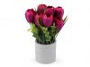 6 fuchsiov tm., 1 ks