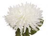 4 (18 cm) bl oteven, 1 ks