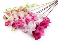 Uml orchidej dlouh