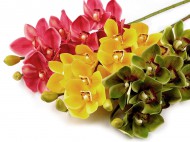Uml orchidej dlouh